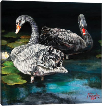A Dark Tranquility Canvas Art Print - Swan Art