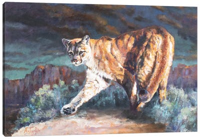 The Start Of The Hunt Canvas Art Print - Cougars