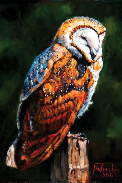 Barn Owl Blues by Jan Perley canvas print