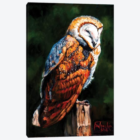 Barn Owl Blues Canvas Print #JPR38} by Jan Perley Canvas Art