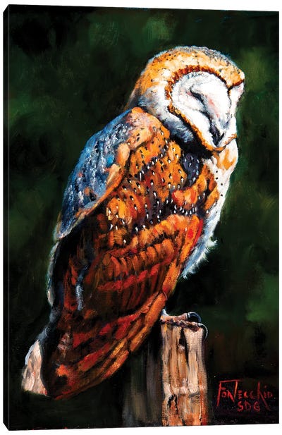 Barn Owl Blues Canvas Art Print - Jan Perley