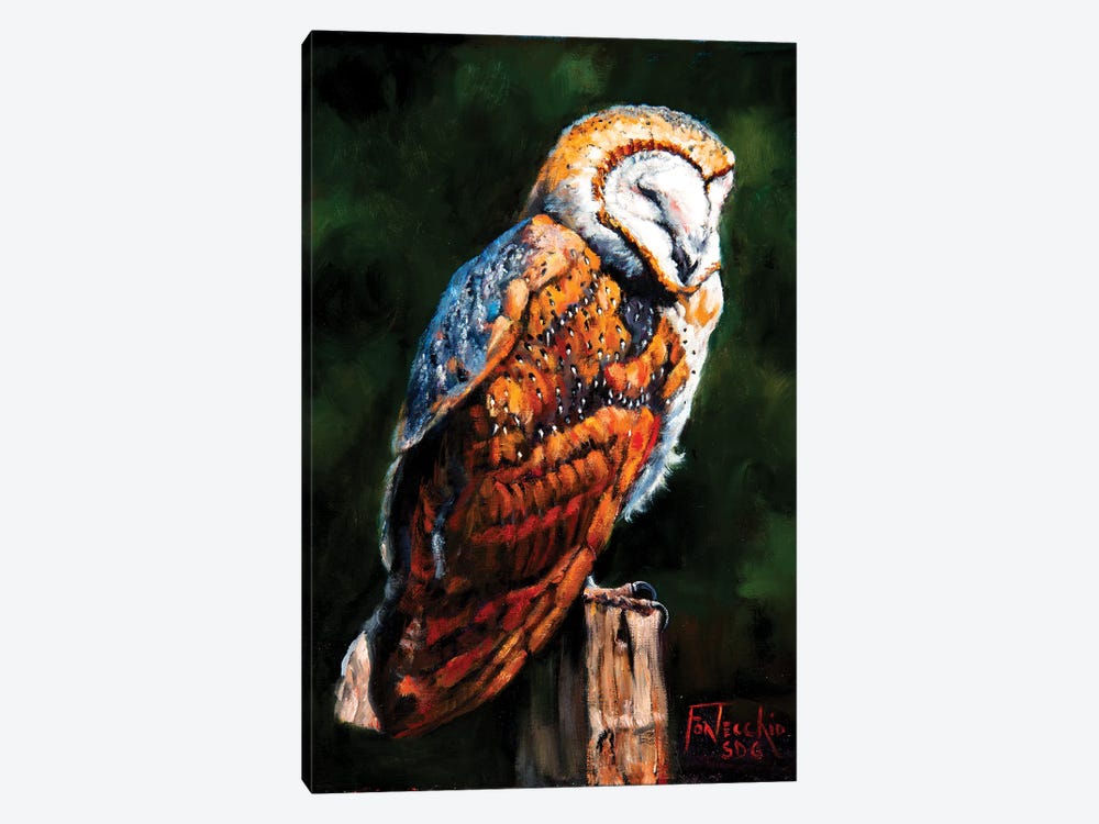 Barn Owl Blues by Jan Perley 1-piece Canvas Wall Art