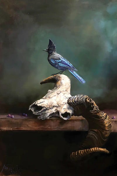 Jan Perley: Bighorn Skull, Saskatoon Berries, And Steller's Jay by Jan Perley