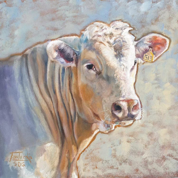 Charolais by Jan Perley wall art