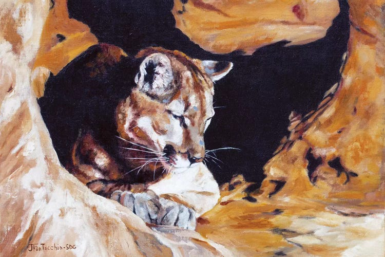 Drowsing at Redrock by Jan Perley wall art
