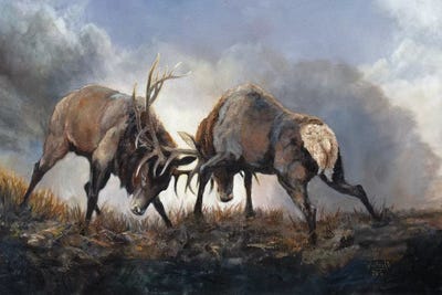 Jan Perley