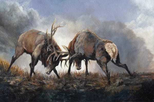Jan Perley