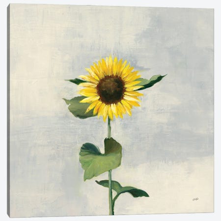 Sunny Blooms II Canvas Print #JPU100} by Julia Purinton Art Print