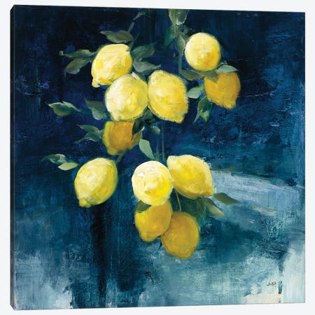 Lemon Grove I Canvas Print #JPU104} by Julia Purinton Canvas Artwork