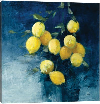 Lemon Grove II Canvas Art Print - Lemon & Lime Art