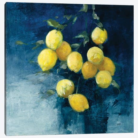 Lemon Grove II Canvas Print #JPU105} by Julia Purinton Canvas Wall Art