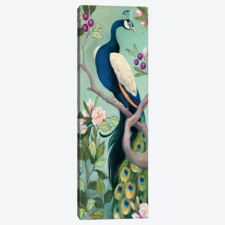 Pretty Peacock I Crop Canvas Print #JPU106} by Julia Purinton Canvas Wall Art