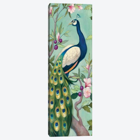 Pretty Peacock II Crop Canvas Print #JPU107} by Julia Purinton Canvas Wall Art
