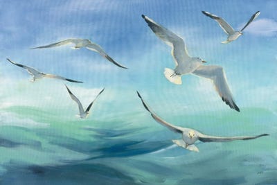 Gulls