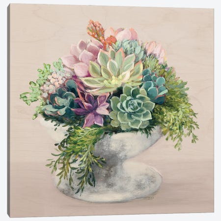 Festive Succulents II Blush Canvas Print #JPU122} by Julia Purinton Art Print