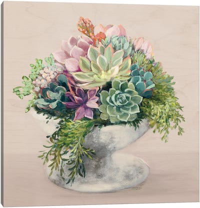Festive Succulents II Blush Canvas Art Print - Julia Purinton