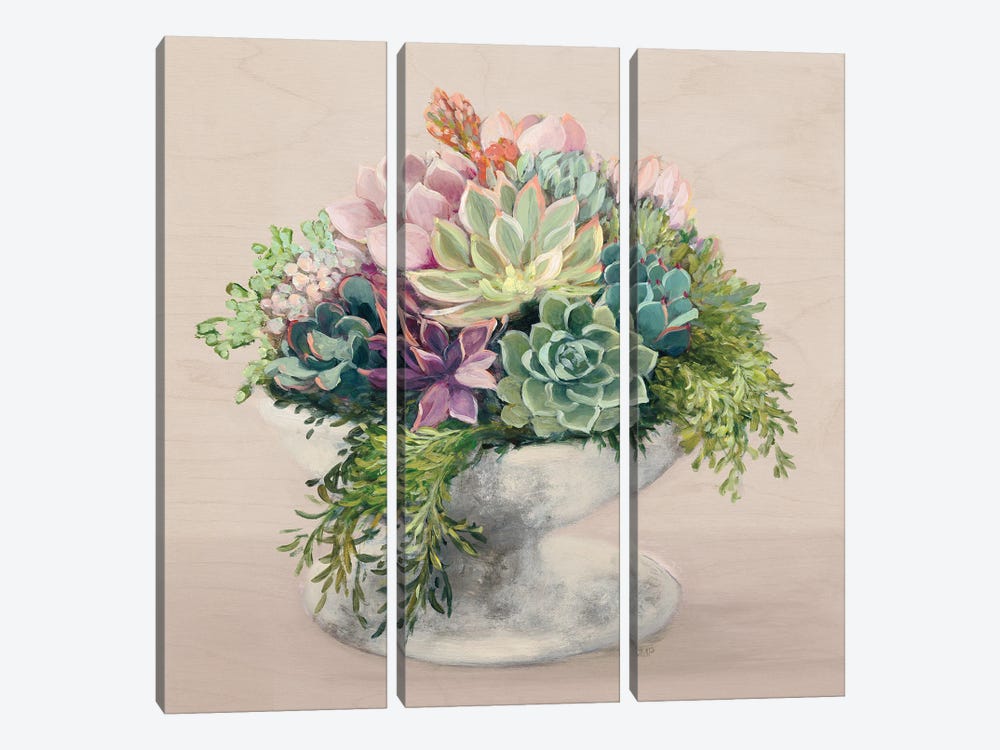 Festive Succulents II Blush by Julia Purinton 3-piece Canvas Print