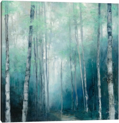 To the Woods Canvas Art Print - Birch Tree Art