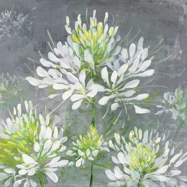Modern Farmhouse Décor: Farmhouse Cleome I by Julia Purinton