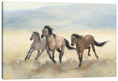 Wild Mustangs Canvas Art Print - Julia Purinton