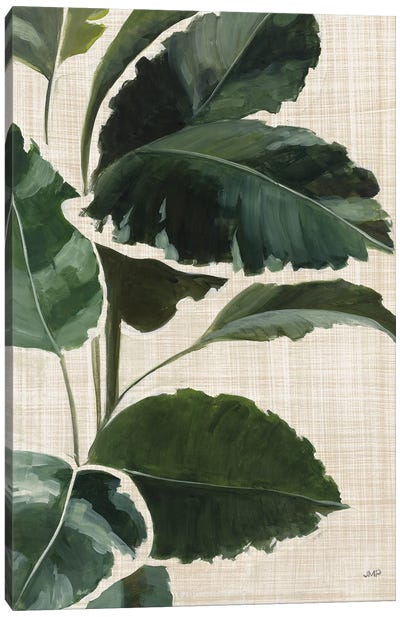 Tropical Study I Linen Canvas Art Print - Julia Purinton