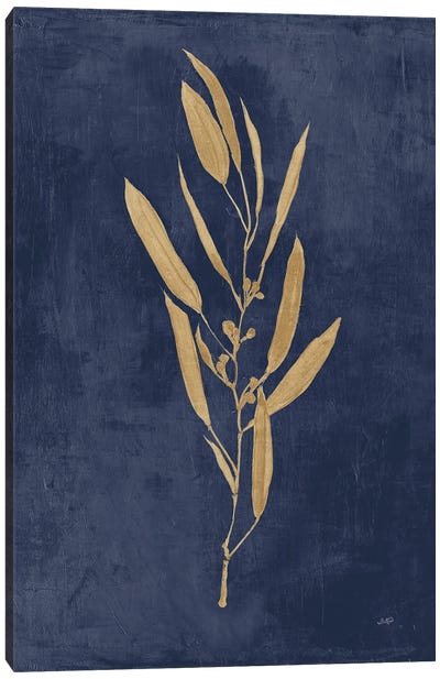 Botanical Study I Gold Navy Canvas Art Print - Blue & Gold Art