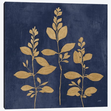 Botanical Study IV Gold Navy Canvas Print #JPU150} by Julia Purinton Canvas Artwork