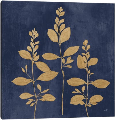 Botanical Study IV Gold Navy Canvas Art Print - Blue & Gold Art