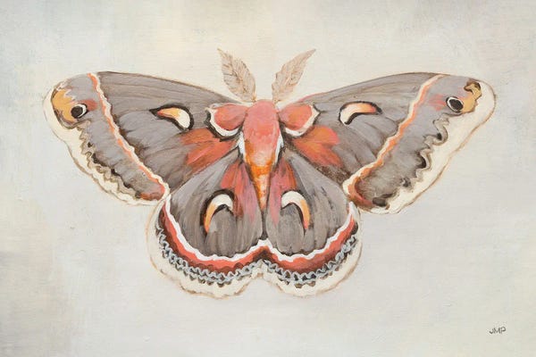 Julia Purinton: Forest Moth I by Julia Purinton
