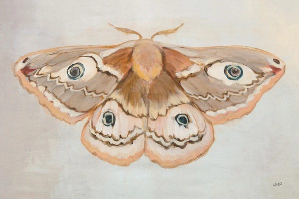 Julia Purinton: Forest Moth II by Julia Purinton