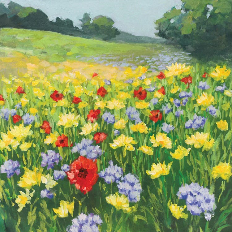 My Meadow