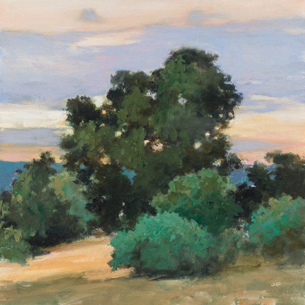 Grove At Dusk