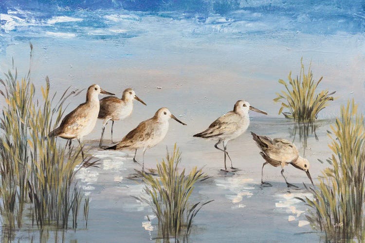 Sandpiper Stroll by Julia Purinton wall art