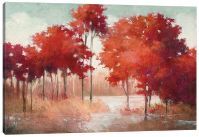 Autumn Lake Canvas Art Print - Maple Trees