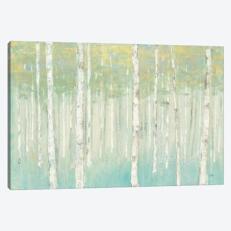 Birches at Sunrise Canvas Print #JPU33} by Julia Purinton Canvas Art Print