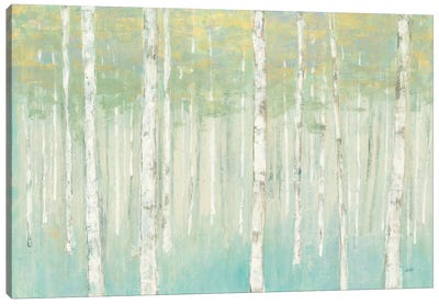 Birches at Sunrise Canvas Art Print - Julia Purinton
