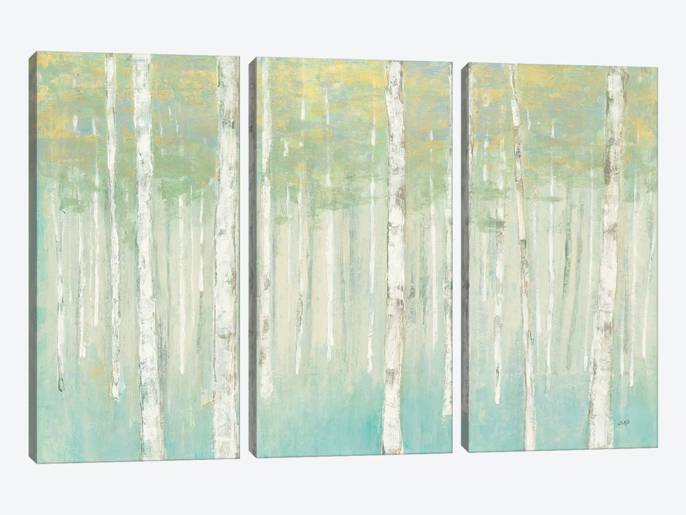 Birches at Sunrise by Julia Purinton 3-piece Canvas Artwork