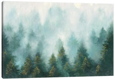 Misty Forest Canvas Art Print - Evergreen Tree Art