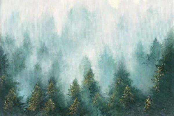 Evergreen Trees: Misty Forest by Julia Purinton