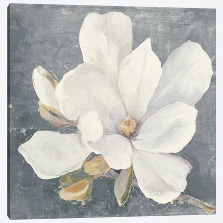 Serene Magnolia Gray Canvas Print #JPU41} by Julia Purinton Canvas Art
