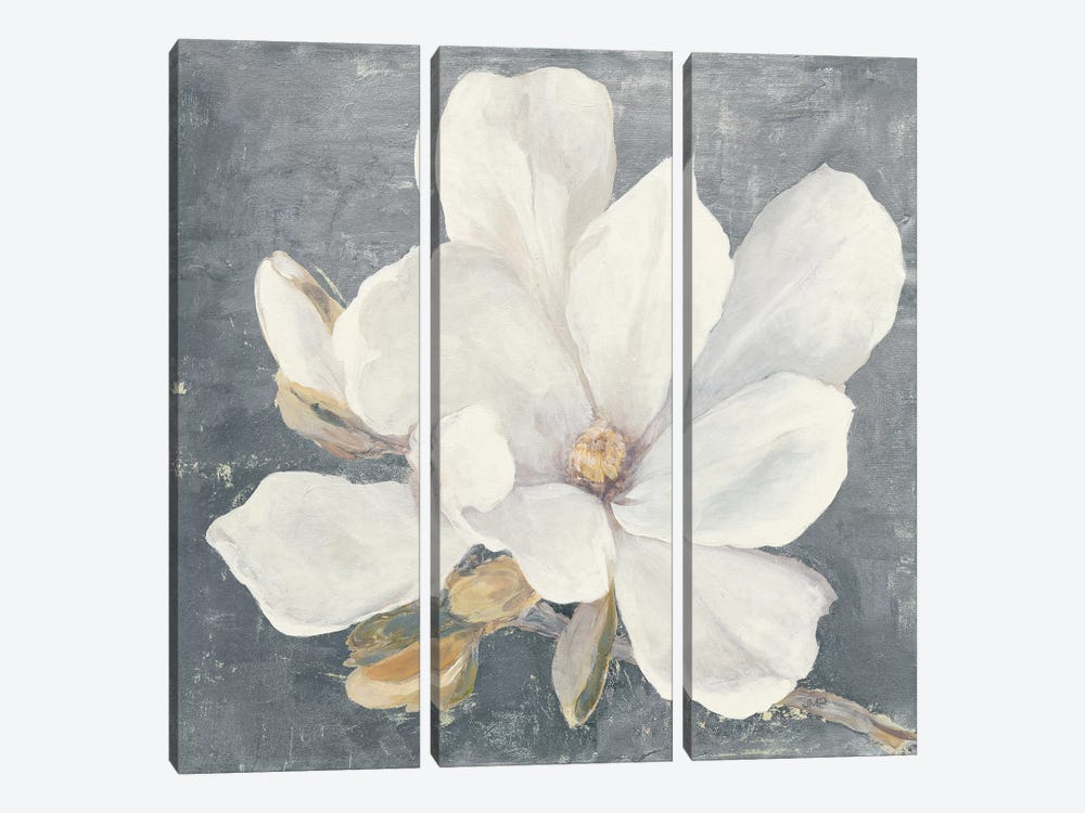 Serene Magnolia Gray by Julia Purinton 3-piece Canvas Print