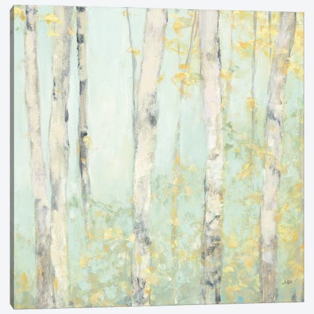 Spring Birches Canvas Print #JPU42} by Julia Purinton Canvas Art
