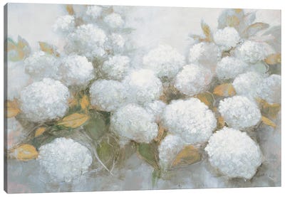 Annabelle Hydrangeas Blue Gray Crop Canvas Art Print - White Art