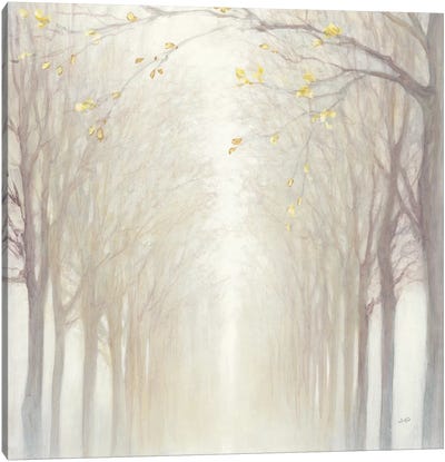 Misty Canvas Art Print - Julia Purinton