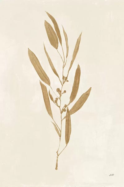 Botanical Study I Gold by Julia Purinton canvas print