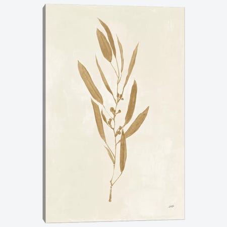 Botanical Study I Gold Canvas Print #JPU66} by Julia Purinton Art Print