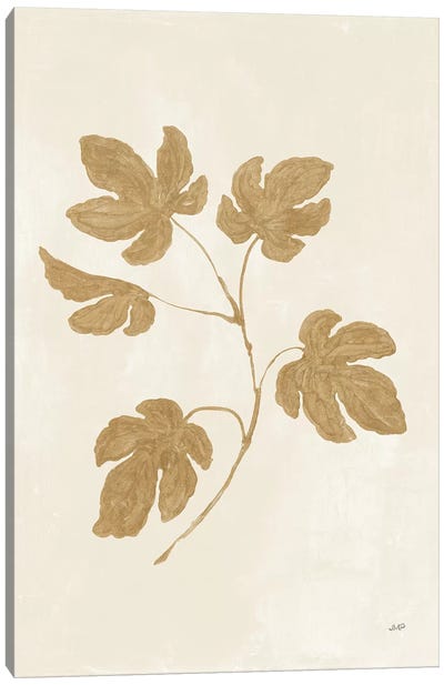 Botanical Study III Gold Canvas Art Print - Julia Purinton