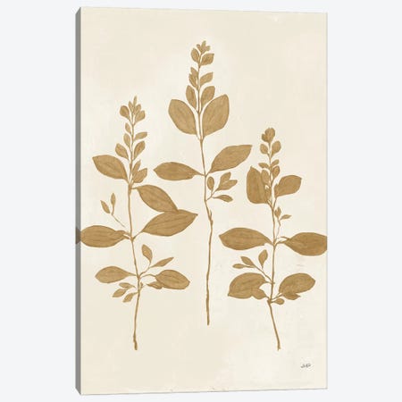 Botanical Study IV Gold Canvas Print #JPU69} by Julia Purinton Canvas Artwork