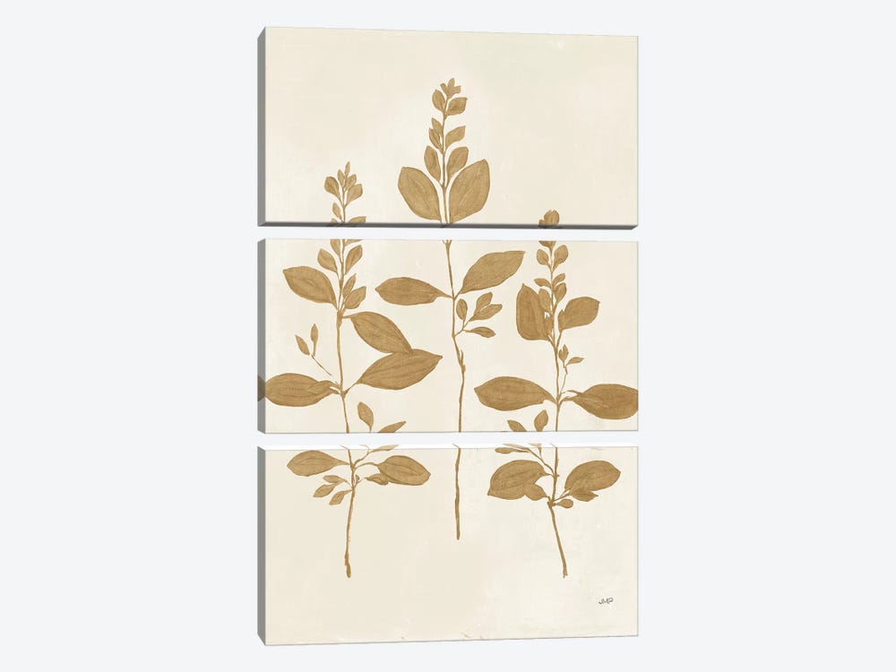 Botanical Study IV Gold by Julia Purinton 3-piece Canvas Art Print