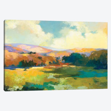 Daybreak Valley Crop Canvas Print #JPU80} by Julia Purinton Canvas Wall Art
